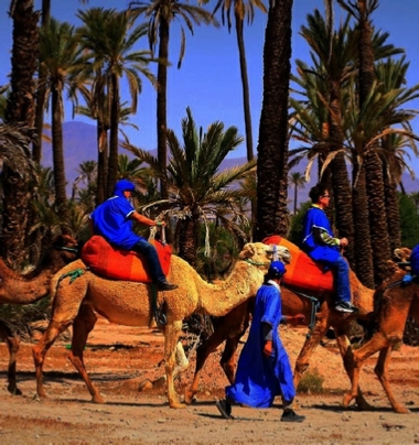 Marrakech ATV Quad Buggy Tours