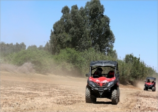 Full Day Buggy Tour in Palm Groves of Marrakech