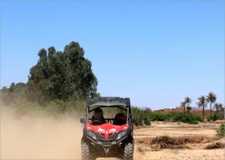 Half Day Buggy Ride Palm grove