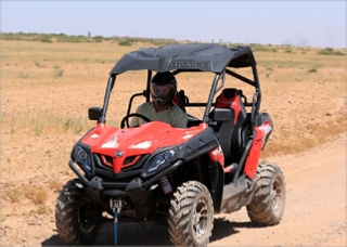 Half Day Buggy Ride Palm grove