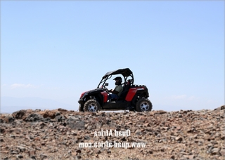 Buggy Tour and Camel Ride Marrakech Palm grove