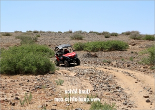 Combined Buggy Tour with Camel Ride in Agafay