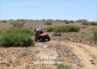 Combined Buggy Tour with Camel Ride in Agafay