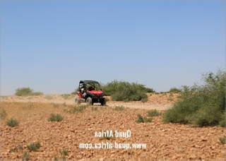 Half Day Buggy Tour in Agafay Desert