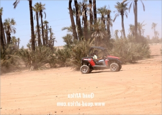 Full Day Buggy Ride in Agafay Desert