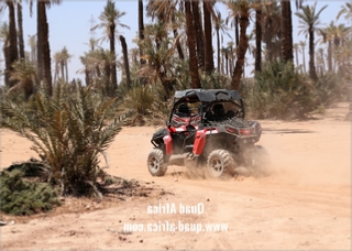 Combined Buggy Tour with Camel Ride in Agafay