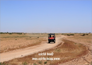 Full Day Buggy Tour in Palm Groves of Marrakech