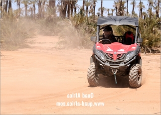 Combined Buggy Tour with Camel Ride in Agafay