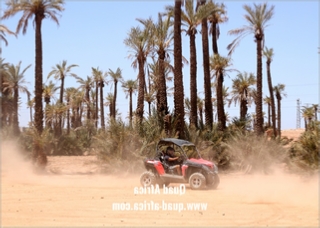 Buggy Tour and Camel Ride Marrakech Palm grove