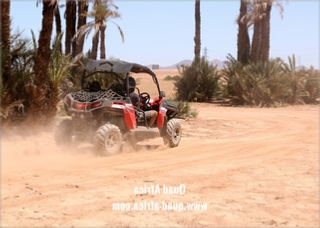 Buggy Tour and Camel Ride Marrakech Palm grove