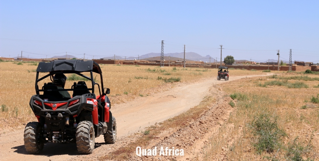 Combined Buggy Tour with Camel Ride in Agafay