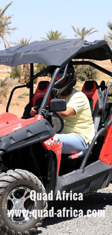 Half Day Buggy Ride Palm grove