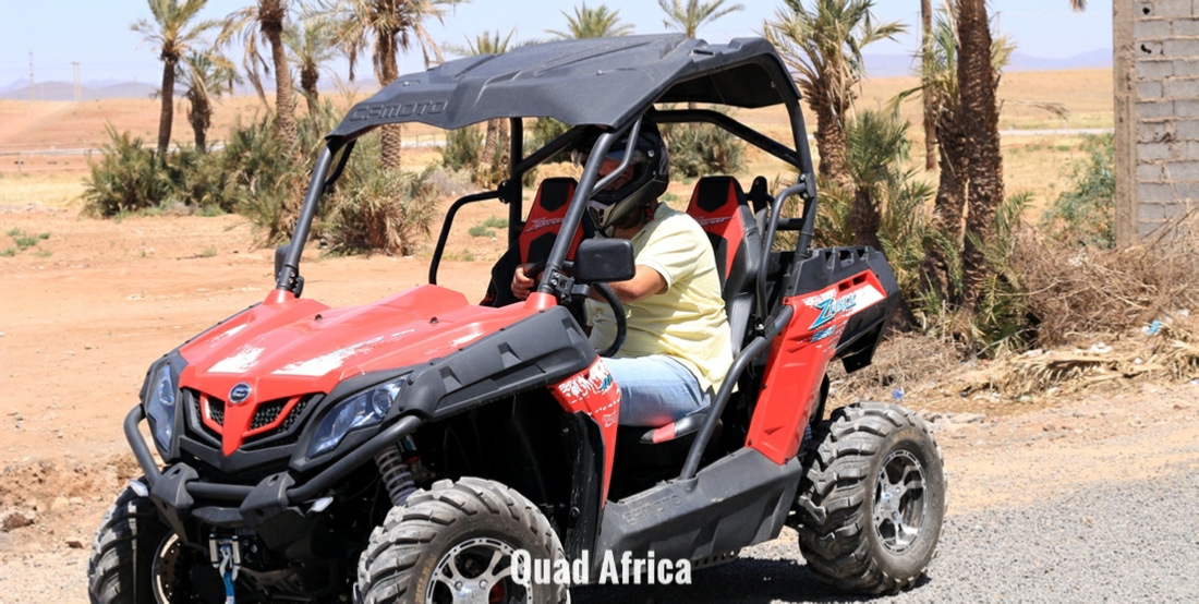 Buggy Tour and Camel Ride Marrakech Palm grove