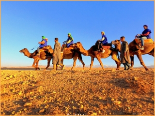 Combined Buggy & Camel Ride Agafay