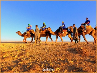 Combined Buggy & Camel Ride Agafay