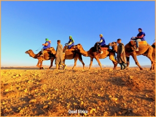 Combined Buggy & Camel Ride Agafay