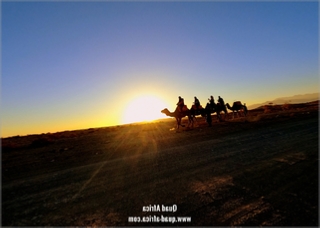 Buggy Tour and Camel Ride Marrakech Palm grove