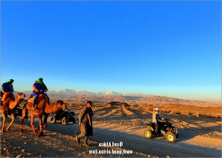 Combined Buggy Tour with Camel Ride in Agafay