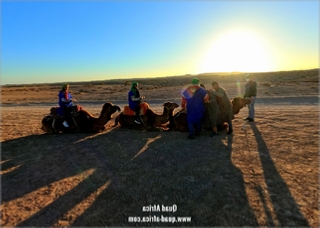 Buggy Tour and Camel Ride Marrakech Palm grove