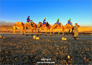 Combined Buggy Tour with Camel Ride in Agafay