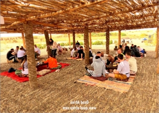 Combined Buggy Tour with Camel Ride in Agafay