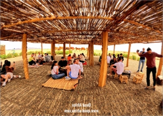 Buggy Tour and Camel Ride Marrakech Palm grove