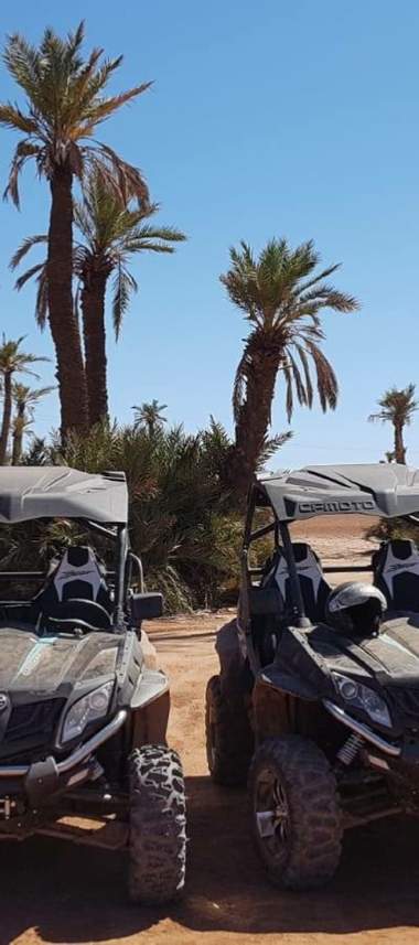 Buggy Tours Marrakech