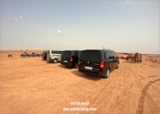 Buggy Tour and Camel Ride Marrakech Palm grove