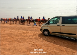 Combined Buggy Tour with Camel Ride in Agafay