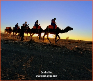 Camel ride Marrakech