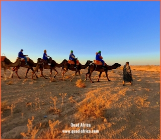 Camel ride Marrakech