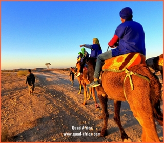 Camel ride Marrakech