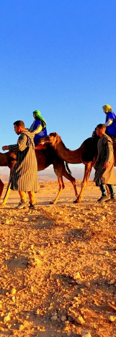 Camel ride Marrakech