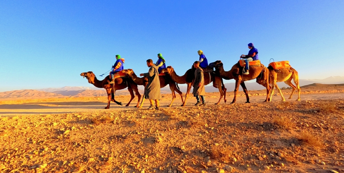 Camel ride Marrakech