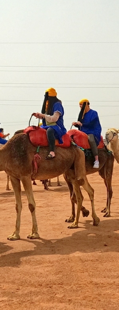 Camel ride Marrakech