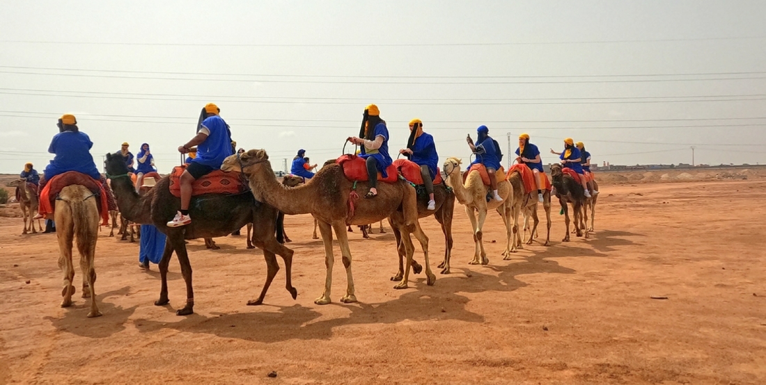 Camel ride Marrakech