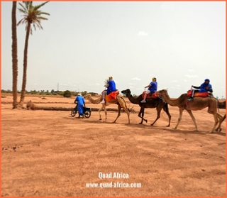 Camel ride Marrakech