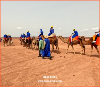 Camel ride Marrakech