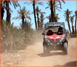 Quad Africa - Marrakech Quad Buggy Camel ride