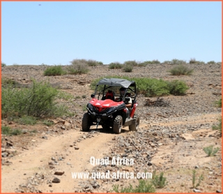 Quad Africa - Marrakech Quad Buggy Camel ride