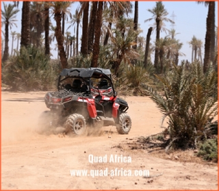 Quad Africa - Marrakech Quad Buggy Camel ride