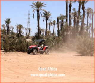 Quad Africa - Marrakech Quad Buggy Camel ride