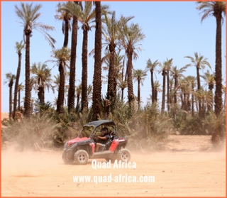 Quad Africa - Marrakech Quad Buggy Camel ride