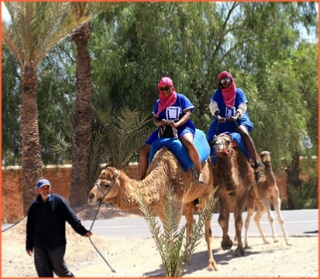 Quad Africa - Marrakech Quad Buggy Camel ride