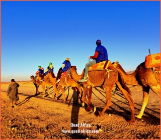 Quad Africa - Marrakech Quad Buggy Camel ride