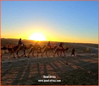 Quad Africa - Marrakech Quad Buggy Camel ride