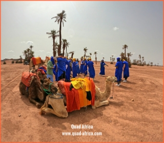 Quad Africa - Marrakech Quad Buggy Camel ride