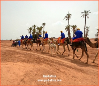 Quad Africa - Marrakech Quad Buggy Camel ride