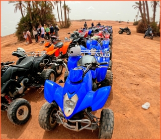 Quad Africa - Marrakech Quad Buggy Camel ride