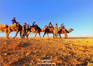 Quad biking and camel Ride Agafay